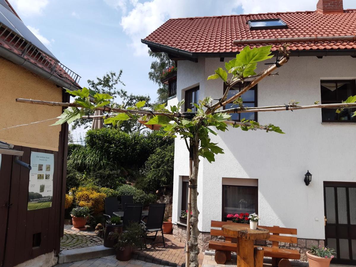 Ferienwohnung Reissmann Heinsdorfergrund 외부 사진